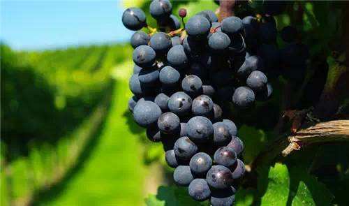 郑州男女约会适合去的地方,郑州曼哈顿哪个地方适合约会