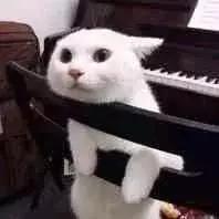 香奈儿好一点还是skii好一点,香奈儿和sk-ii哪个更好用