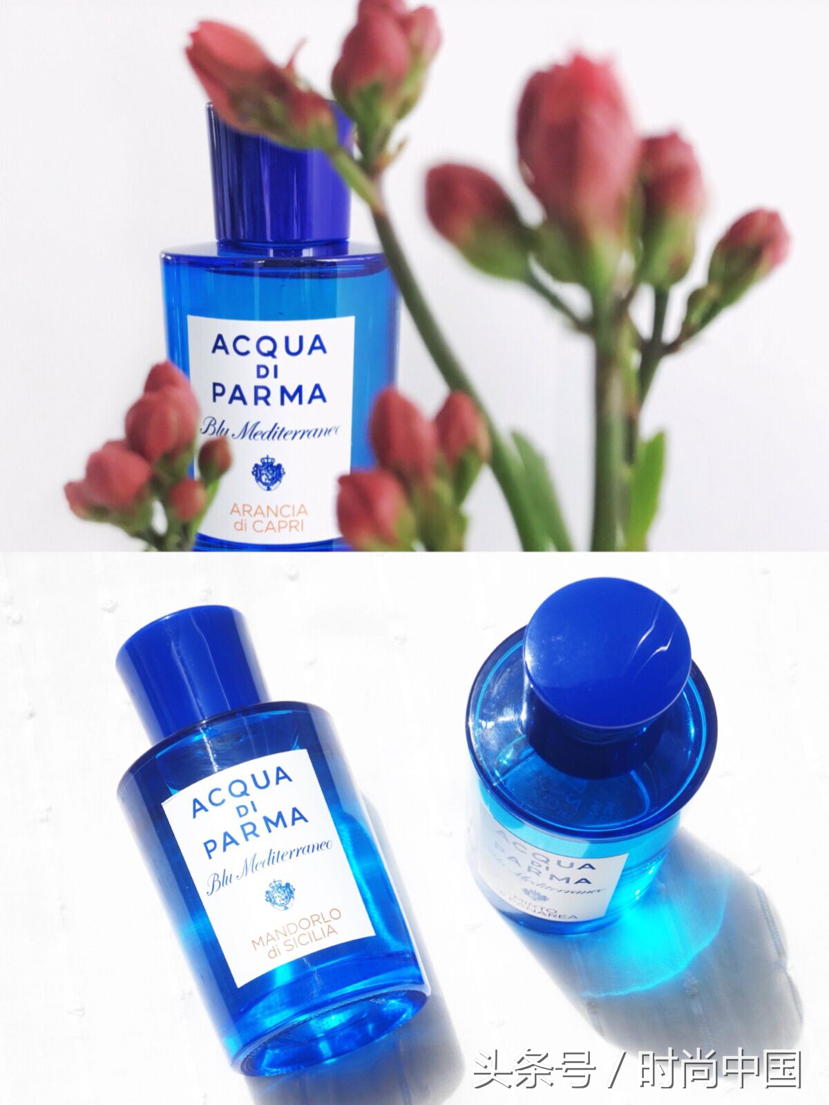 闻香识女人第六感,闻香识女人的香氛