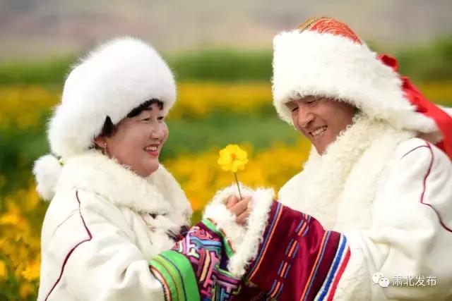 肃北:8月,我和七彩花田有个约会,一半是花海,一半是……