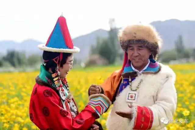 肃北:8月,我和七彩花田有个约会,一半是花海,一半是……