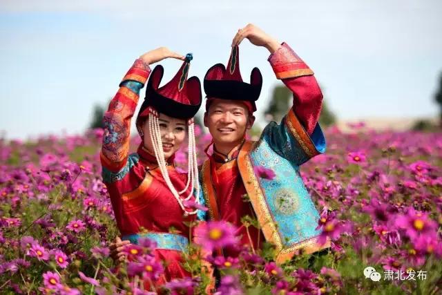 肃北:8月,我和七彩花田有个约会,一半是花海,一半是……