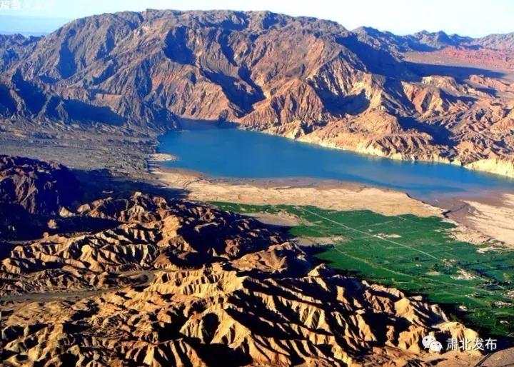 肃北:8月,我和七彩花田有个约会,一半是花海,一半是……