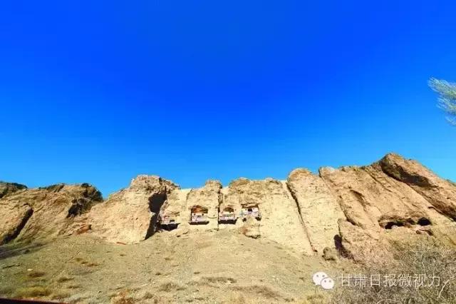 肃北:8月,我和七彩花田有个约会,一半是花海,一半是……