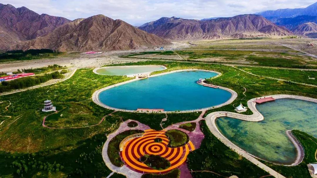 肃北:8月,我和七彩花田有个约会,一半是花海,一半是……