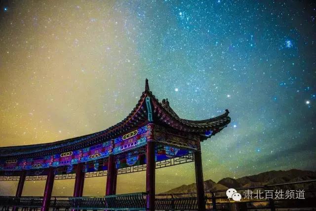 肃北:8月,我和七彩花田有个约会,一半是花海,一半是……