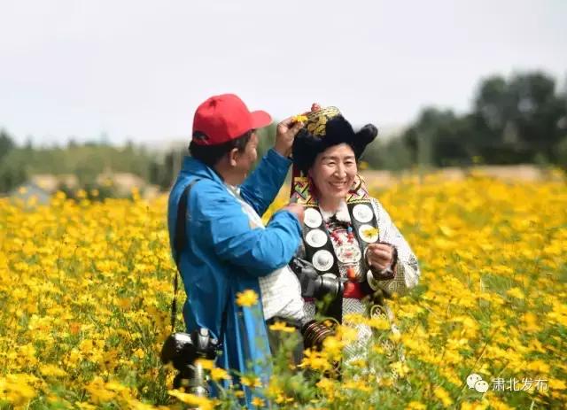 肃北:8月,我和七彩花田有个约会,一半是花海,一半是……
