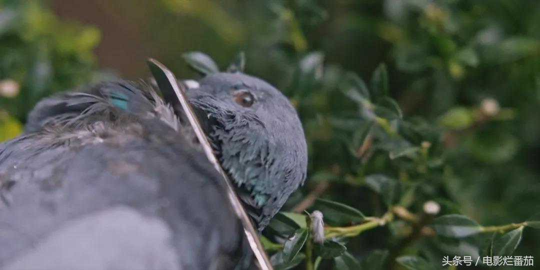 一部让人毛骨悚然的恐怖片,这部恐怖片为何能层层反转
