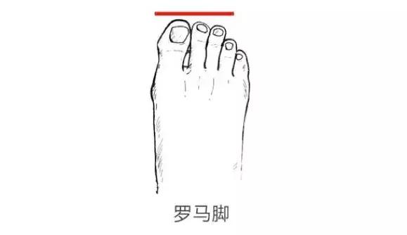 左脚埃及脚右脚罗马脚如何选鞋,你是埃及脚罗马脚还是希腊脚