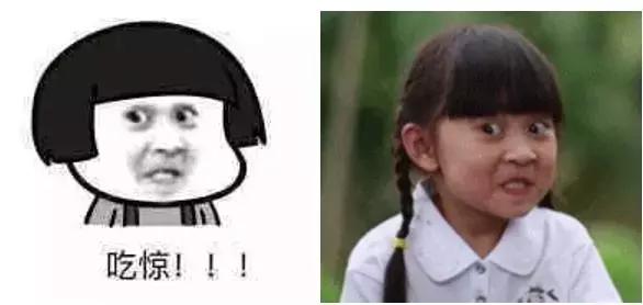 养宠物鸟的朋友,养鹦鹉的朋友请注意