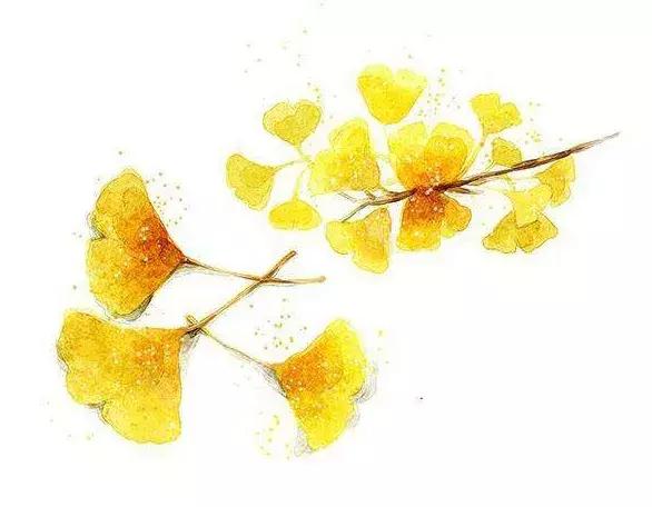 清宫医案里的养生经,中药养生十大经典名方医案