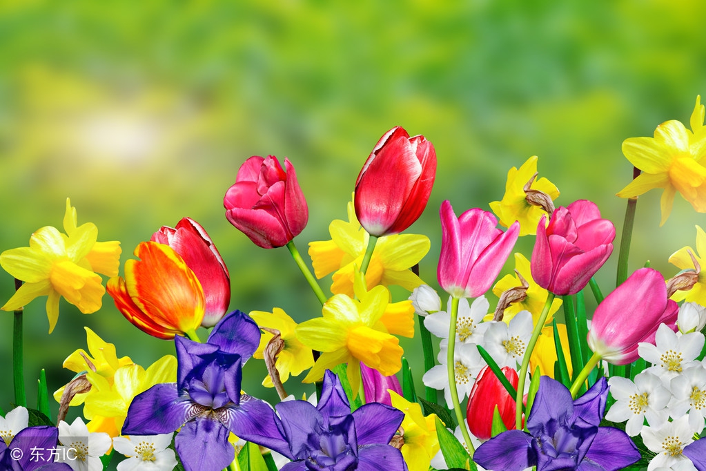 中年男人有外心人之后的表现,女人有了外心睡觉时有哪三种表现