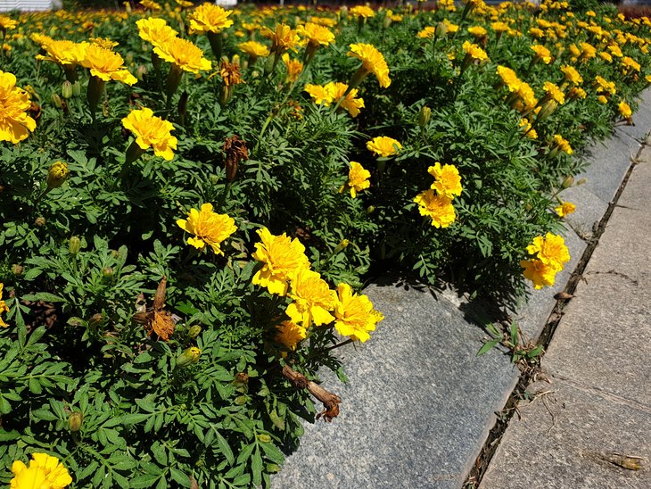 涓夋槦galaxynote20ultra娣卞害娴嬭瘎,涓夋槦galaxynote20ultra5g