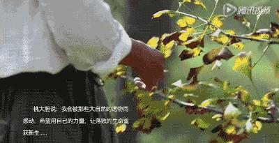 捡废弃东西做手工,32岁捡破烂