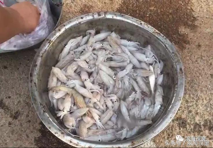 塘沽北塘海鲜哪里好吃,塘沽北塘海鲜哪家最好