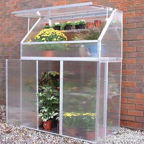 离家出走怎么生存小妙招,离家一个月的植物怎么浇水