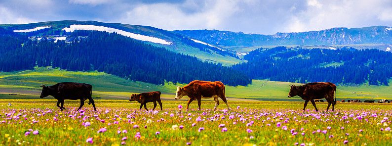 忘记那些不堪回首的人和事,忘记那些心酸的往事