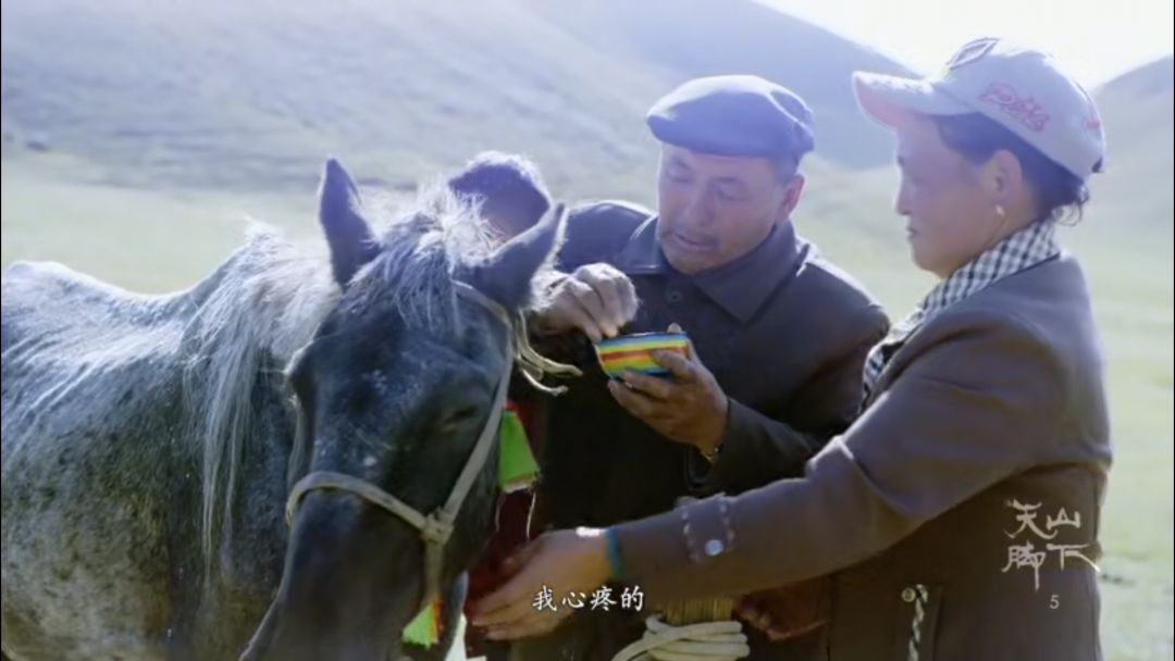 忘记那些不堪回首的人和事,忘记那些心酸的往事