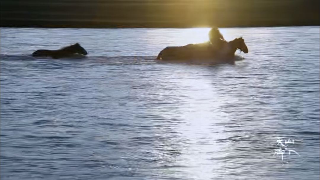忘记那些不堪回首的人和事,忘记那些心酸的往事