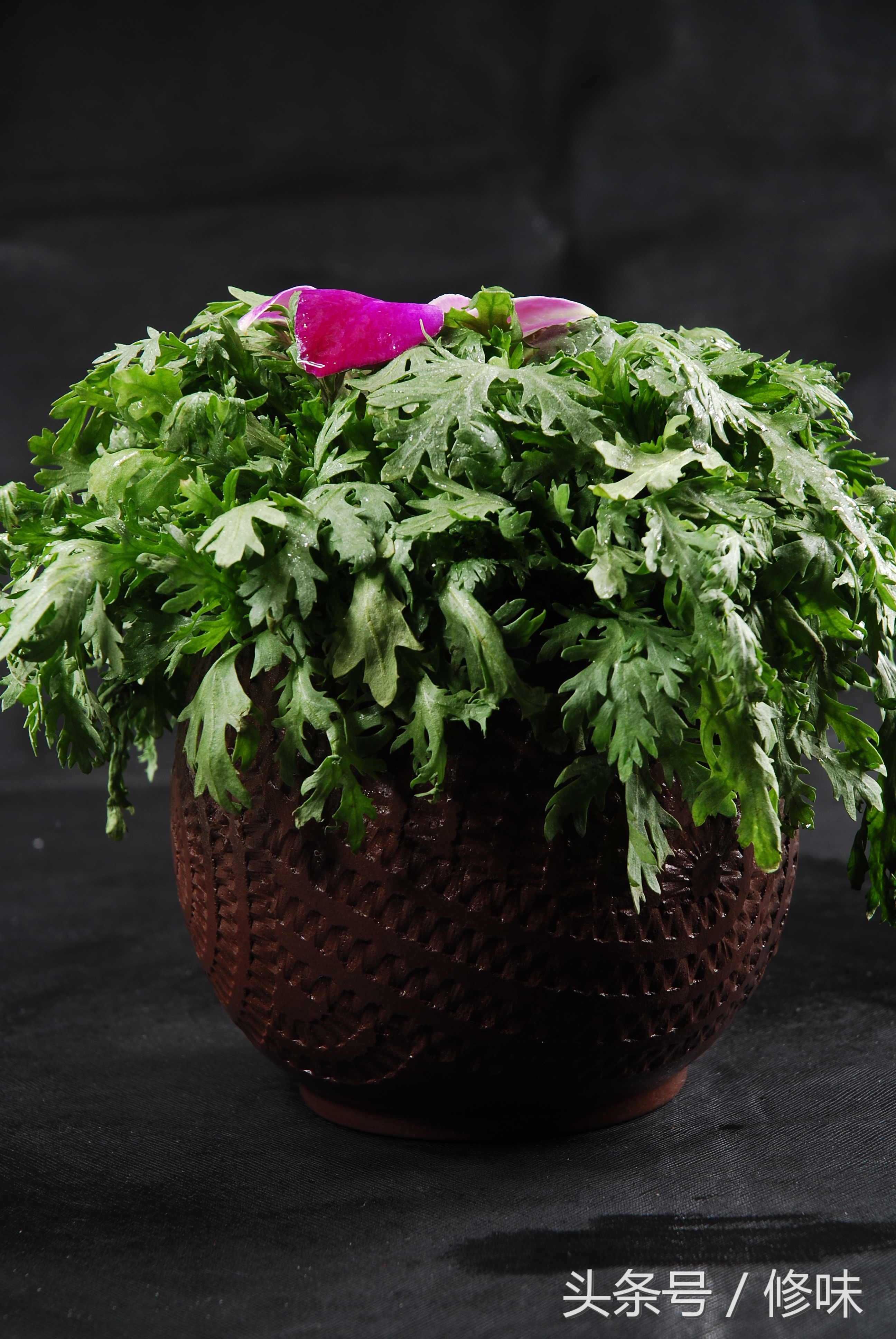 在家吃火锅必吃菜,吃火锅时必点的几道菜你知道吗