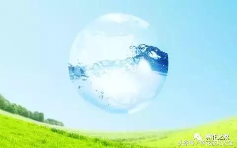 君子兰什么时间开花,怎样才能让君子兰开花时间更长