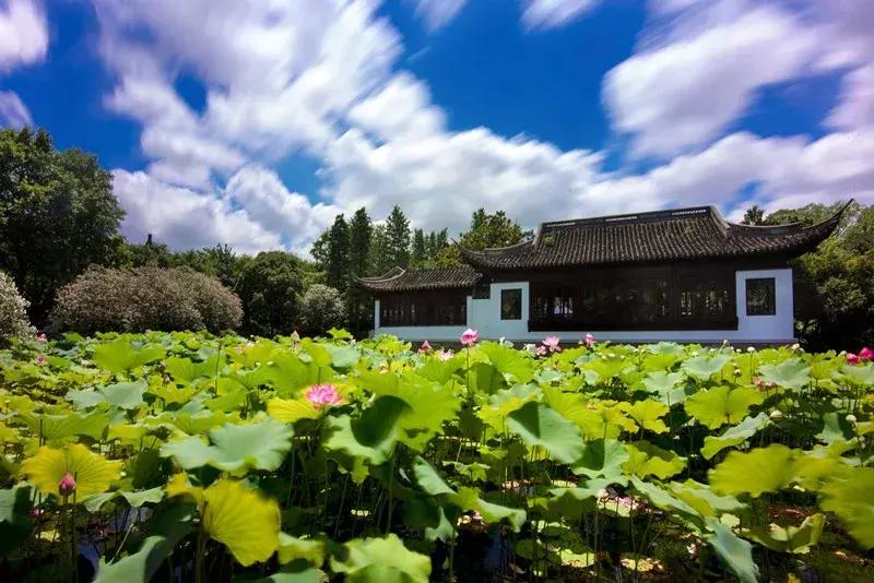 2021年上海迪士尼门票多少钱,上海迪士尼vip免排队门票价格