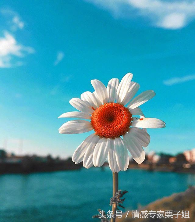 情感咨询栗子姐是真实的吗,栗子姐每日情感问答