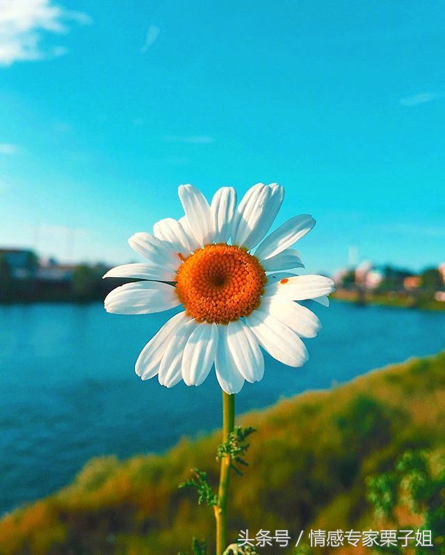 情感咨询栗子姐是真实的吗,栗子姐每日情感问答