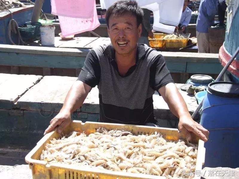 借钱吃海货，不算不会过！开海啦！天津“吃货”有口福了！