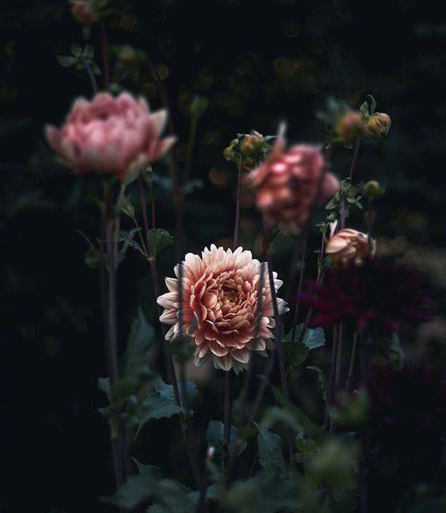 长大后才发现最美好的时光在童年,多想回到童年那个天真无邪的年代