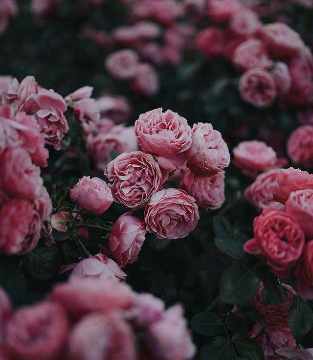 长大后才发现最美好的时光在童年,多想回到童年那个天真无邪的年代