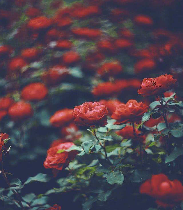 长大后才发现最美好的时光在童年,多想回到童年那个天真无邪的年代