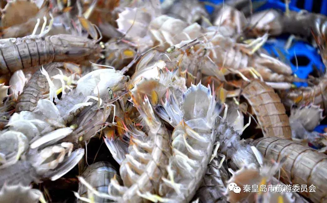 有一种炫富叫辽宁开海,在山东有一种炫富叫开海