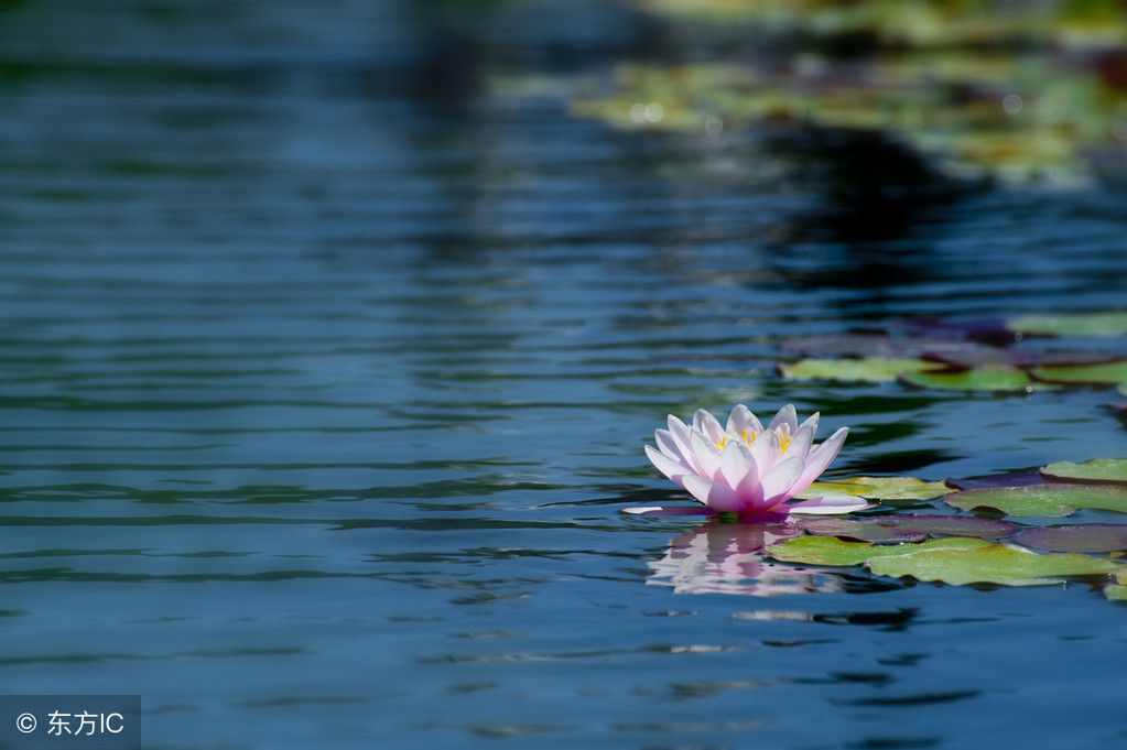 四大难卦完整版,四大难卦第一卦