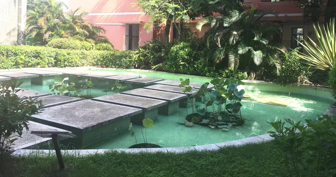 莲花中学开学时间,莲花县莲花中学开学