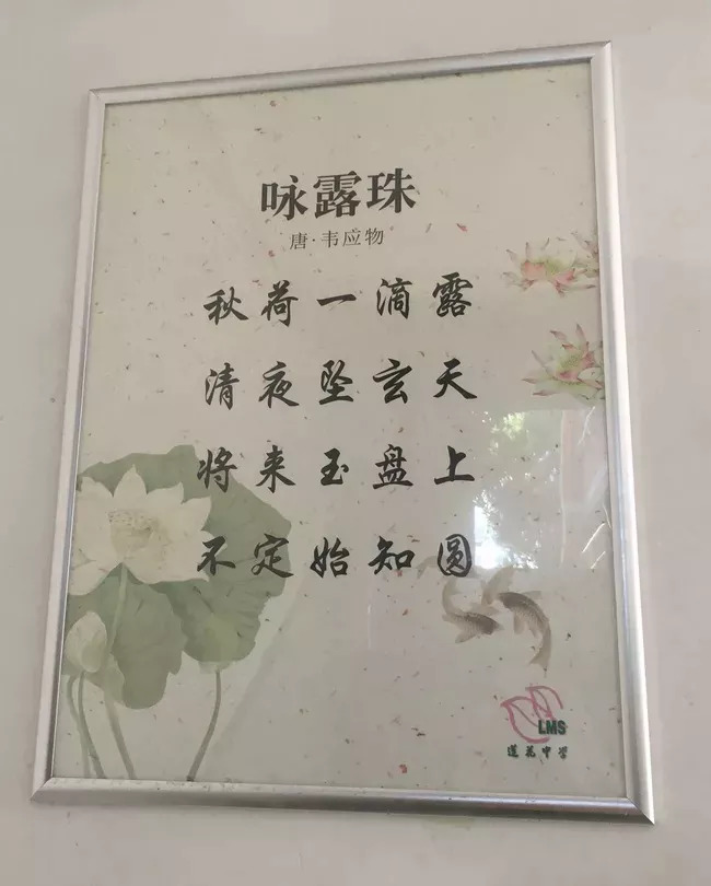 莲花中学开学时间,莲花县莲花中学开学