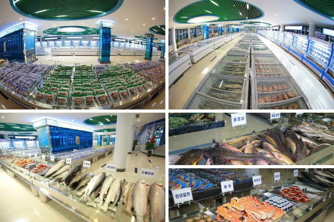 朝鲜经济最新信息,探访朝鲜视频