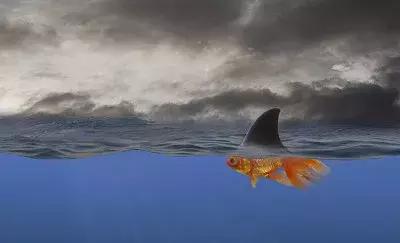 烟头、啤酒瓶碎片、拖鞋“开口”说话……