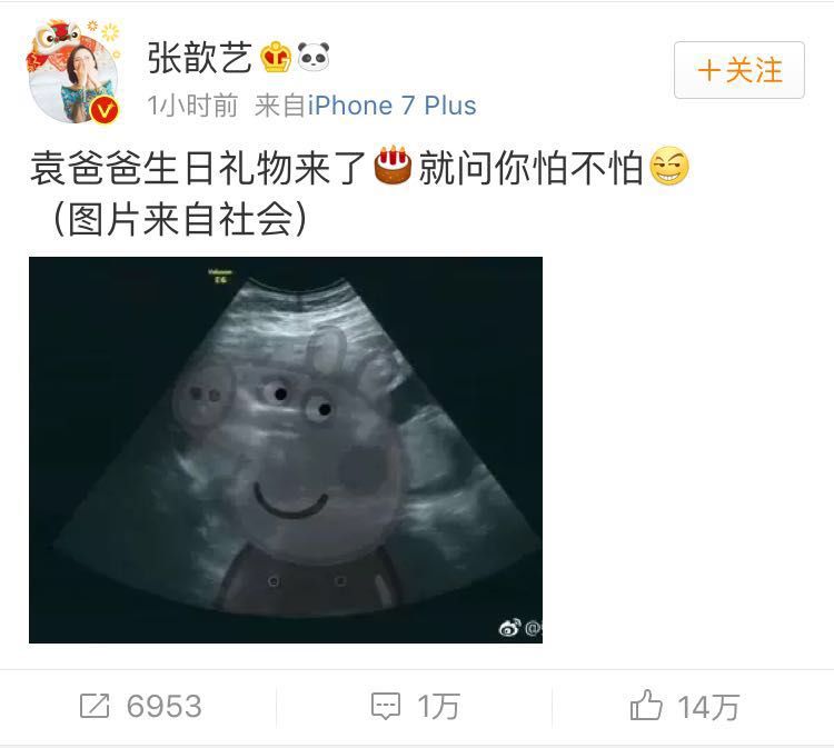 张歆艺怀孕,二姐张歆艺怀孕