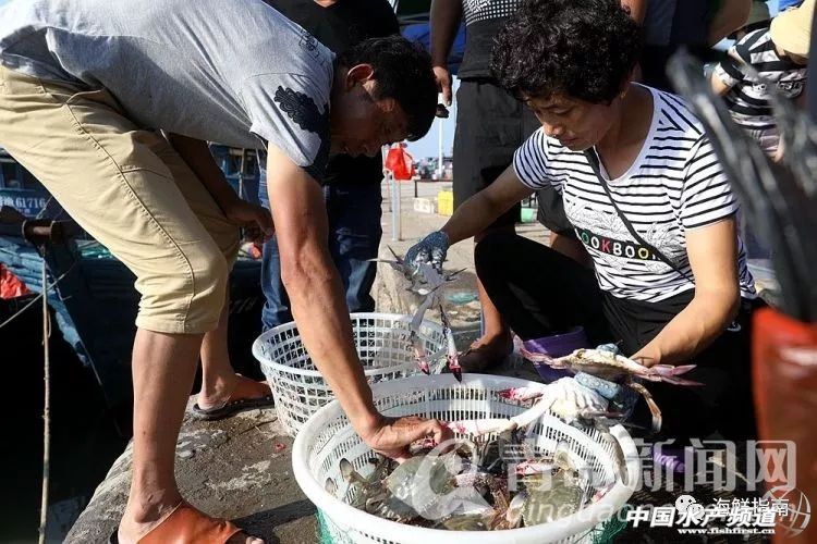 黄渤海特色海鲜,黄渤海渔场海鲜有哪些