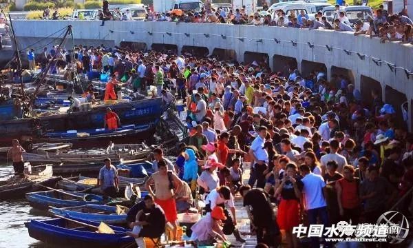 黄渤海特色海鲜,黄渤海渔场海鲜有哪些