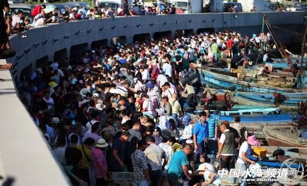 黄渤海特色海鲜,黄渤海渔场海鲜有哪些