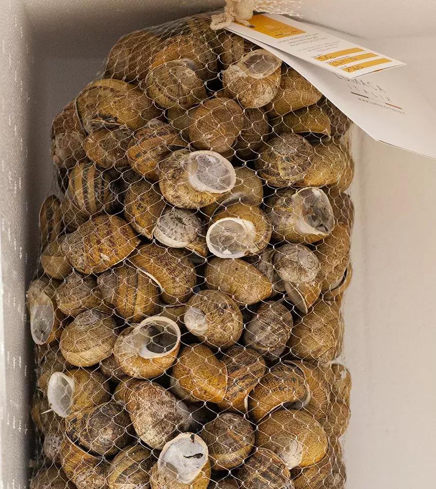 螺丝肥而不腻,螺蛳肥美季节