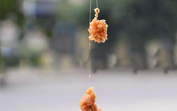 钓翘嘴鱼实用技巧大全,翘嘴鱼怎样钓好