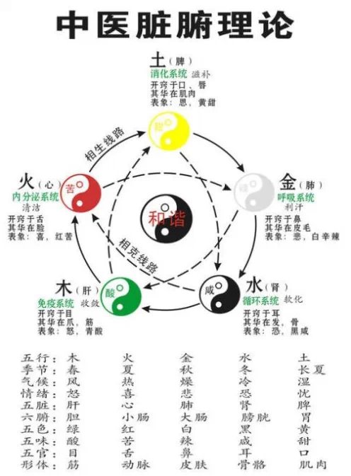 易经全文翻译价值连城,易经白话全文翻译完整版