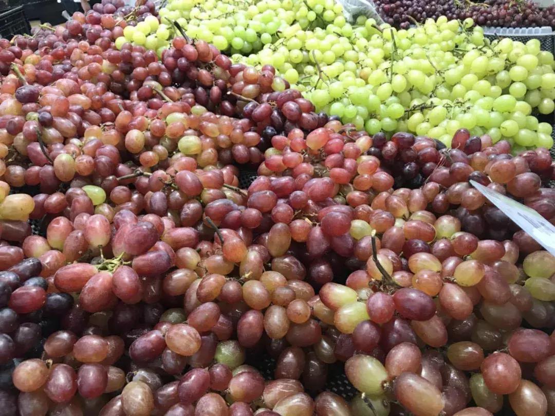 青白江哪里可以摘水果,青白江瓜果哪里买