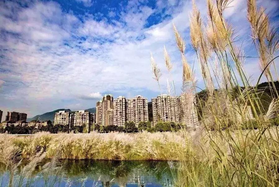 乐山是世界文化旅游名城,乐山最为代表的景点有哪些