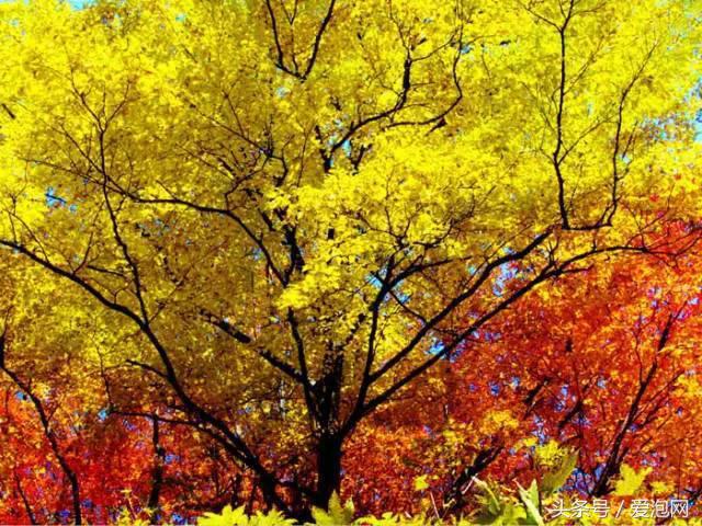 从吉林出发辽宁游玩路线,从辽宁到吉林自驾游最佳路线