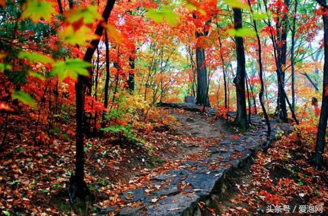 从吉林出发辽宁游玩路线,从辽宁到吉林自驾游最佳路线