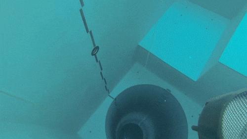 恐怖又刺激的游泳池,超级恐怖的游泳池